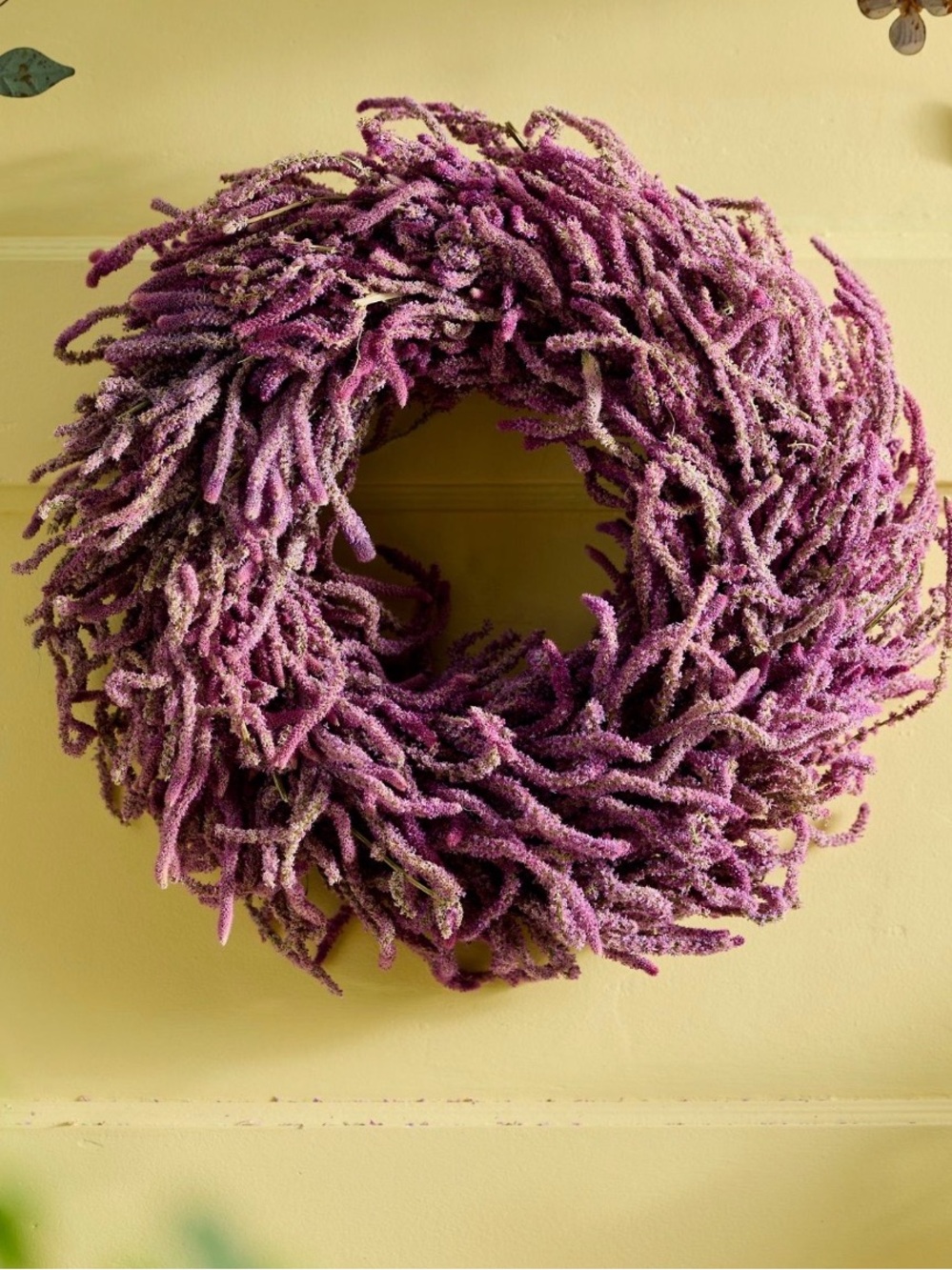 Statice Dried Wreath from Anthropologie
